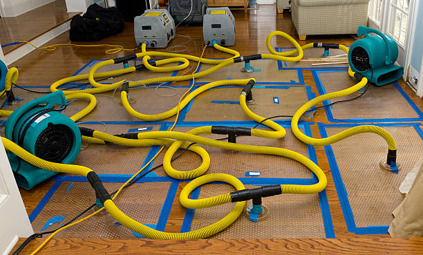 Professional Water Extraction technician working in Springfield, LA